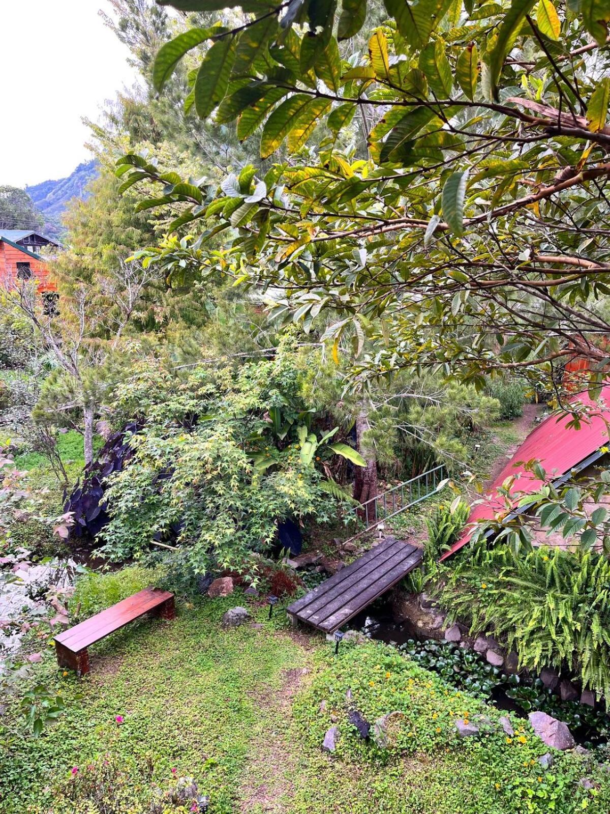 Cabana Azalea En Santa Maria De Dota Exterior foto